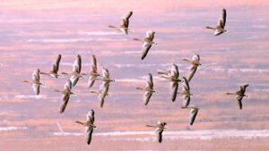 7E986B249FC5C3486B0662460DE0E672