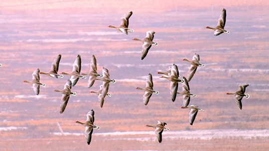 7E986B249FC5C3486B0662460DE0E672