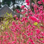 A5ECD7C9EC01E504F2DD0F7538F6EB9A