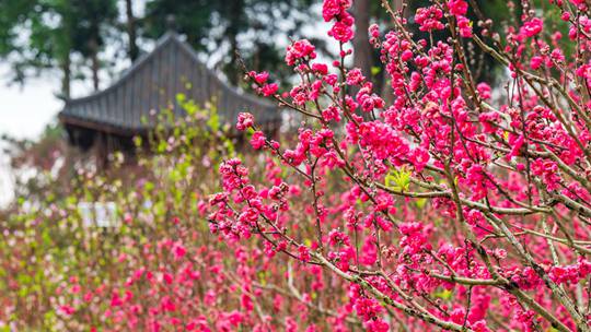 A5ECD7C9EC01E504F2DD0F7538F6EB9A