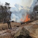 AKR20260312092551061_01_i_P4