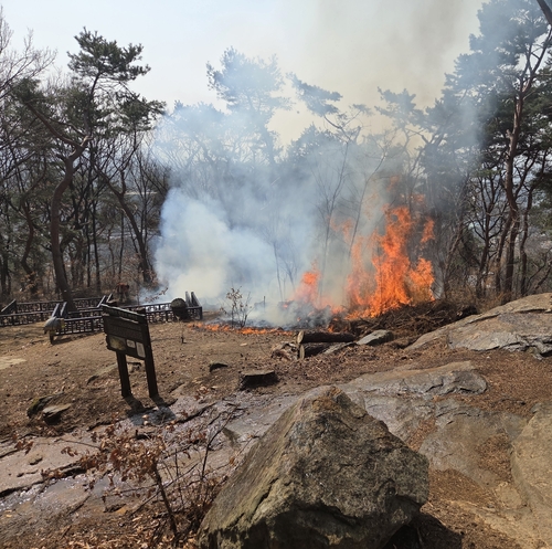 AKR20260312092551061_01_i_P4