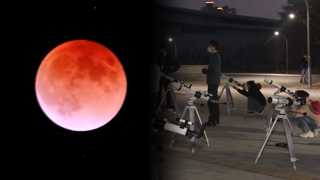 MYH20260303004300038_P4