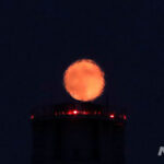 '·¹µå¹®' ¾ÆÁ÷Àº ¾Æ´Ï¿¹¿ä!, ±â´ëµÇ´Â 28ÀÏ »õº® '°³±â¿ù½Ä'