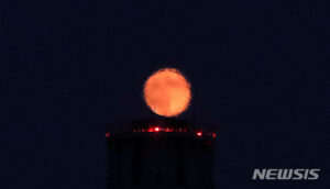 '·¹µå¹®' ¾ÆÁ÷Àº ¾Æ´Ï¿¹¿ä!, ±â´ëµÇ´Â 28ÀÏ »õº® '°³±â¿ù½Ä'