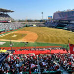 NISI20250628_0001879291_web