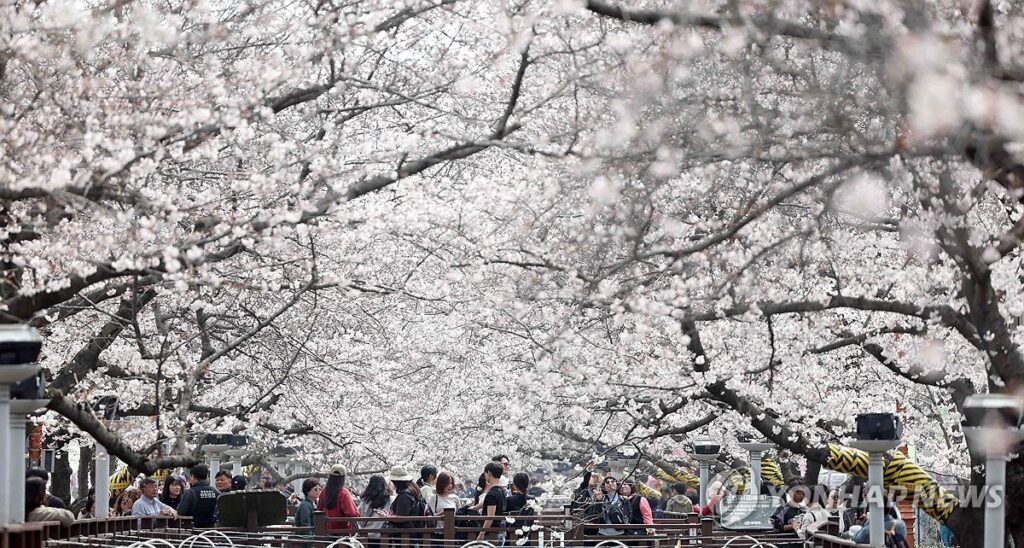 PYH2026032711410005200_P4