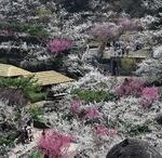 f128d4d7-7f38-480e-8d22-4c427d47f355