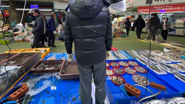 fdbdb18b-69f0-40b0-bff9-725a82fba24b-1