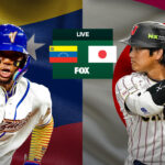 n1kucukjpjxmeejzvzp6