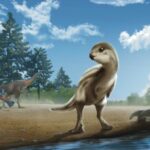 new-dinosaur-south-korea-reconstruction-full-width.jpg.thumb_.480.480