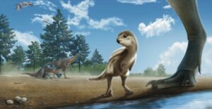 new-dinosaur-south-korea-reconstruction-full-width.jpg.thumb_.480.480