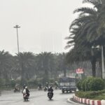 1773892298698_a6d143b3-541b-4560-9d2a-64ce3bf07f24