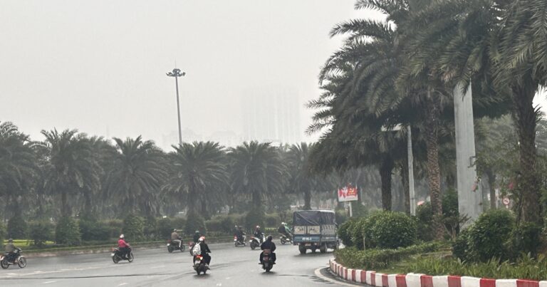 1773892298698_a6d143b3-541b-4560-9d2a-64ce3bf07f24