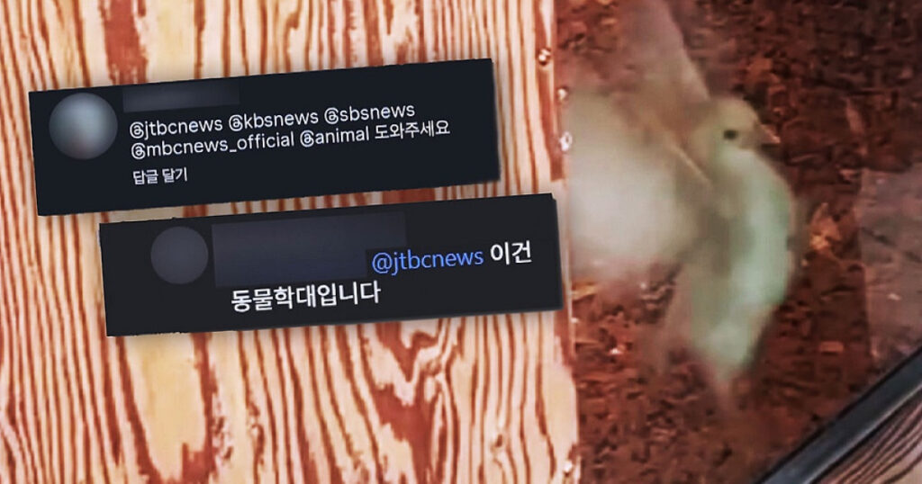 20260406203308566nzpa