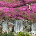 20260407060002941ddde