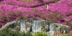 20260407060002941ddde