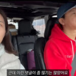 20260407115327807hpbo