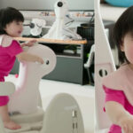 20260407132525241npbm