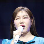 20260407202627184ieci