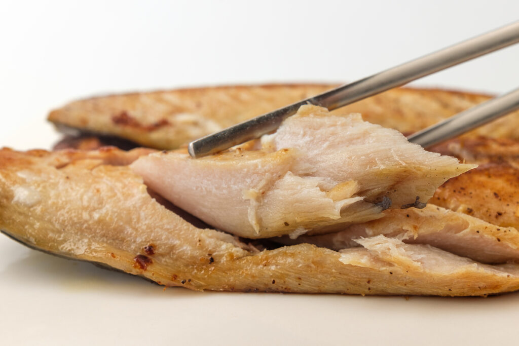 Grilled mackerel on white background