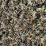 20260408044227881zplx