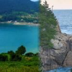 20260408094458639psip