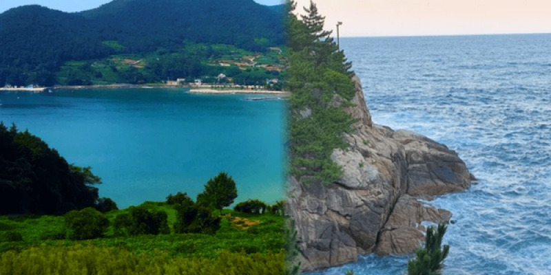 20260408094458639psip