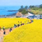 20260414080003111eijh