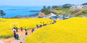 20260414080003111eijh