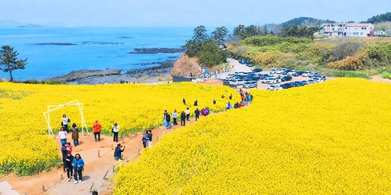 20260414080003111eijh