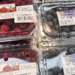 20260417155143186csen