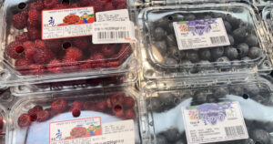 20260417155143186csen