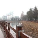 202604201030124421_t-1