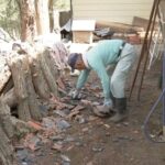 20260420_04_1642619_L