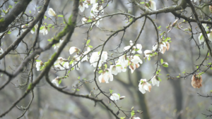 20260422103140869zbuzRyDzhB_rs