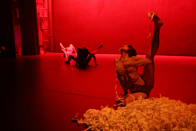 2026042316571655026_l