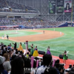 2026042513391455858_1