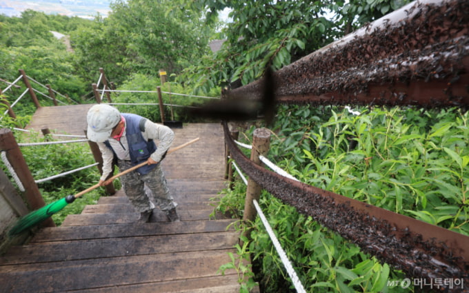 2026042520231189861_1