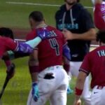 28982_73077_4351_v150