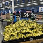 4408845_307105_362_v150