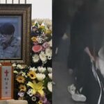 6601e716-d1d6-40db-a5ca-9855390d3962