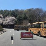 »õ³¢ ´Á´ë Å»ÃâÇÑ ´ëÀü ¿À¿ùµå