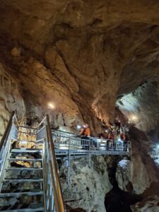 AKR20260415011400062_01_i_P4-1