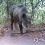 AKR20260415020200063_02_i_P4