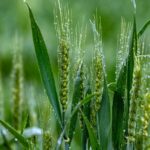 D53BD255118A50EA2792D7E77EC02766