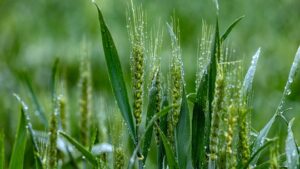 D53BD255118A50EA2792D7E77EC02766