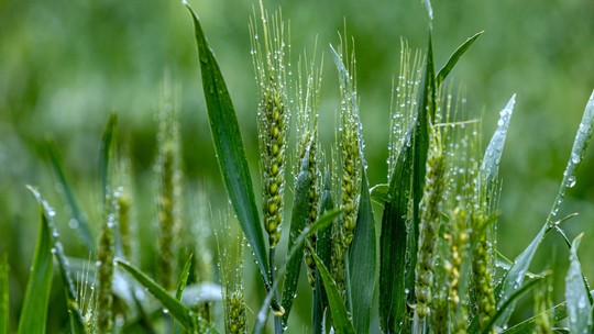 D53BD255118A50EA2792D7E77EC02766