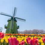 NISI20260408_0002106002_web