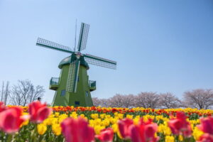 NISI20260408_0002106002_web